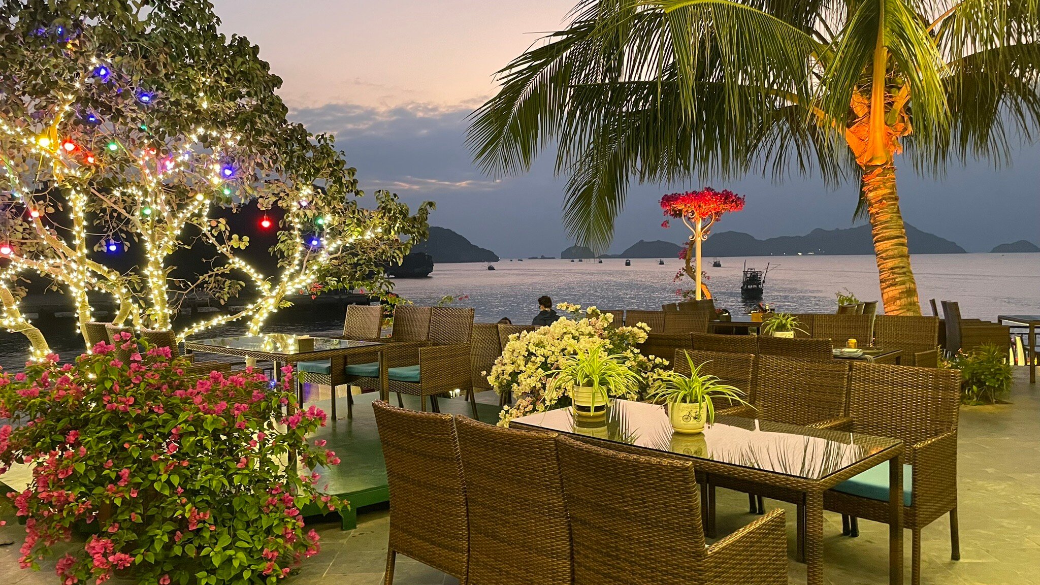cat ba restaurants